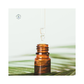 Streams in the Desert Anointing Oil - 1 oz (30 ml)