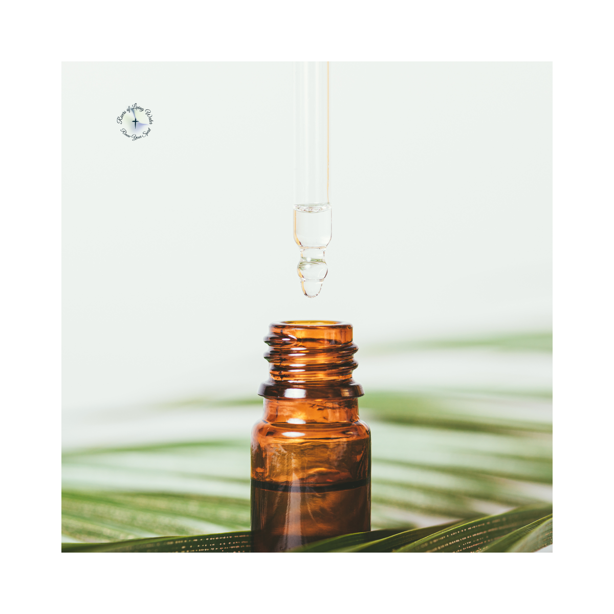 Streams in the Desert Anointing Oil - 1 oz (30 ml)